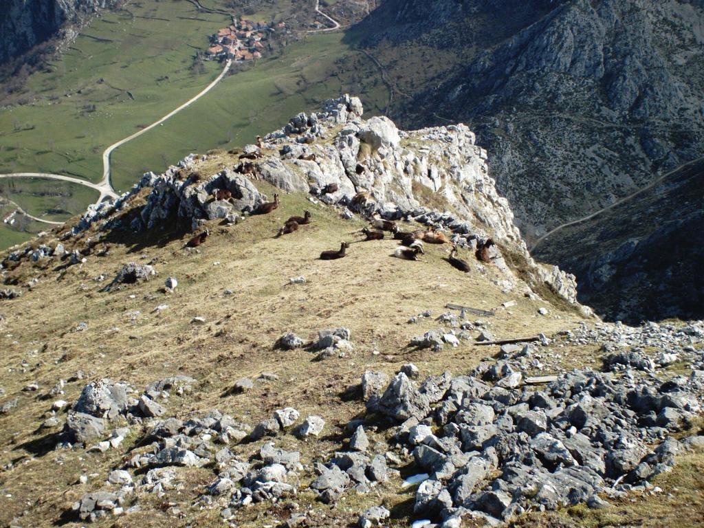 Viviendas De Uso Turistico La Arboleda I Y II Colombres Exterior photo