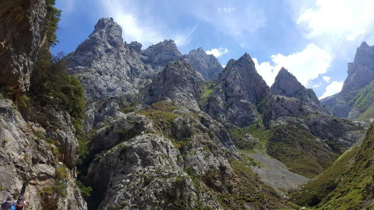 Viviendas De Uso Turistico La Arboleda I Y II Colombres Exterior photo
