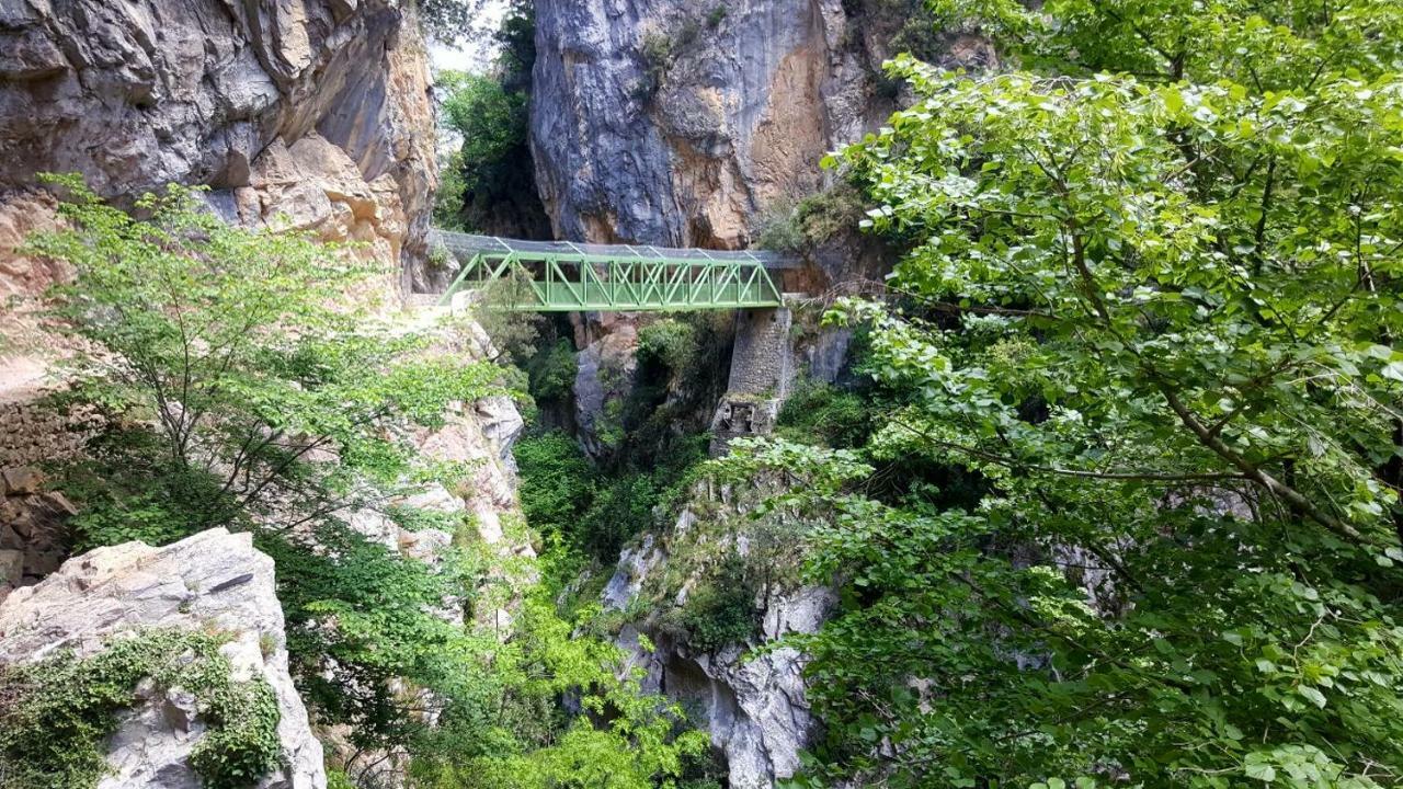 Viviendas De Uso Turistico La Arboleda I Y II Colombres Exterior photo